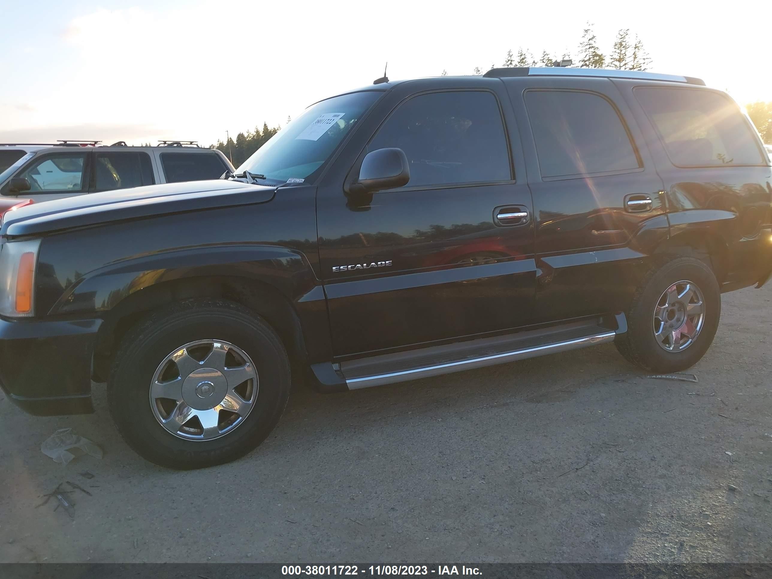 Photo 13 VIN: 1GYEK63N93R114258 - CADILLAC ESCALADE 