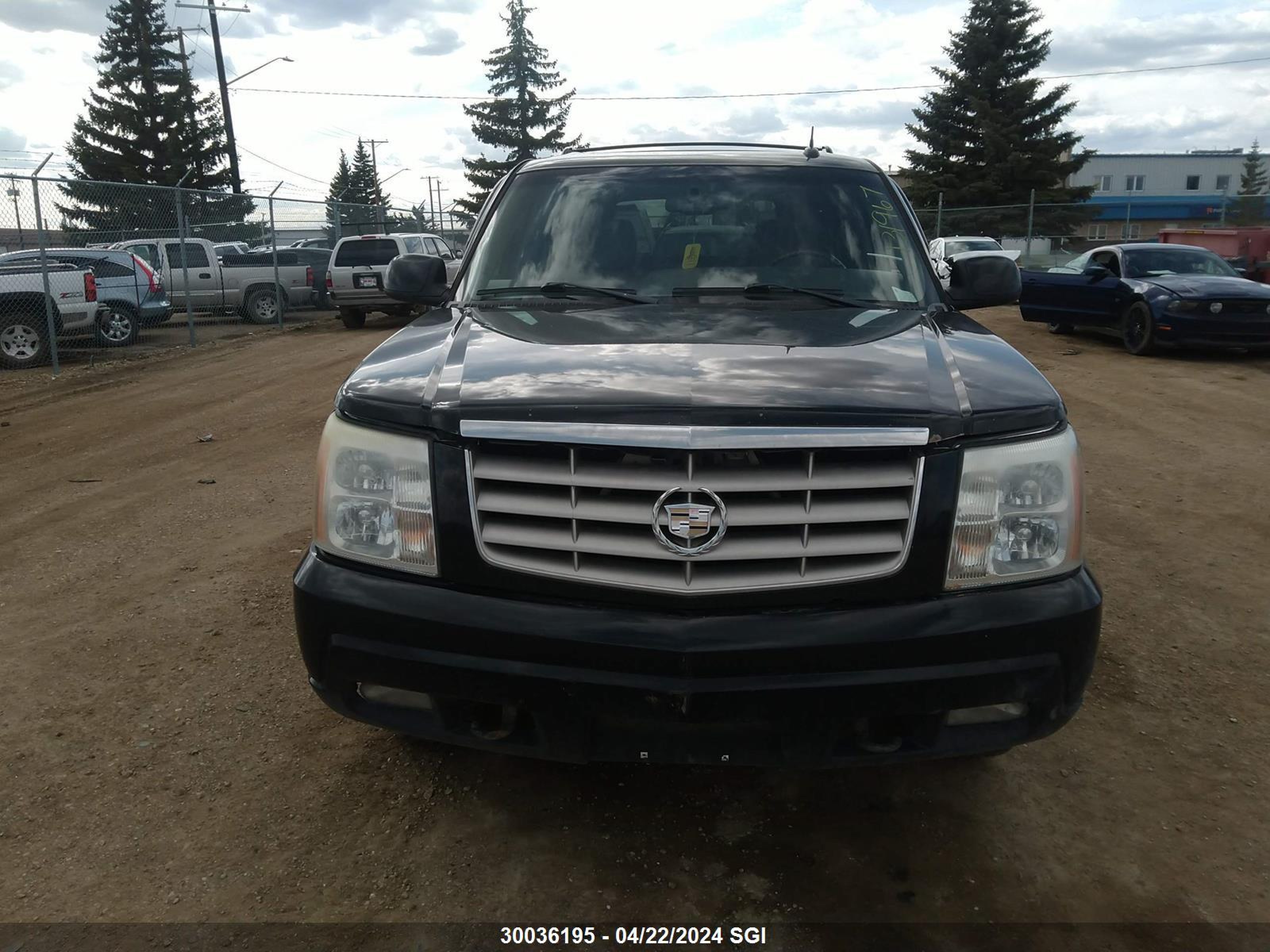 Photo 11 VIN: 1GYEK63N95R131967 - CADILLAC ESCALADE 