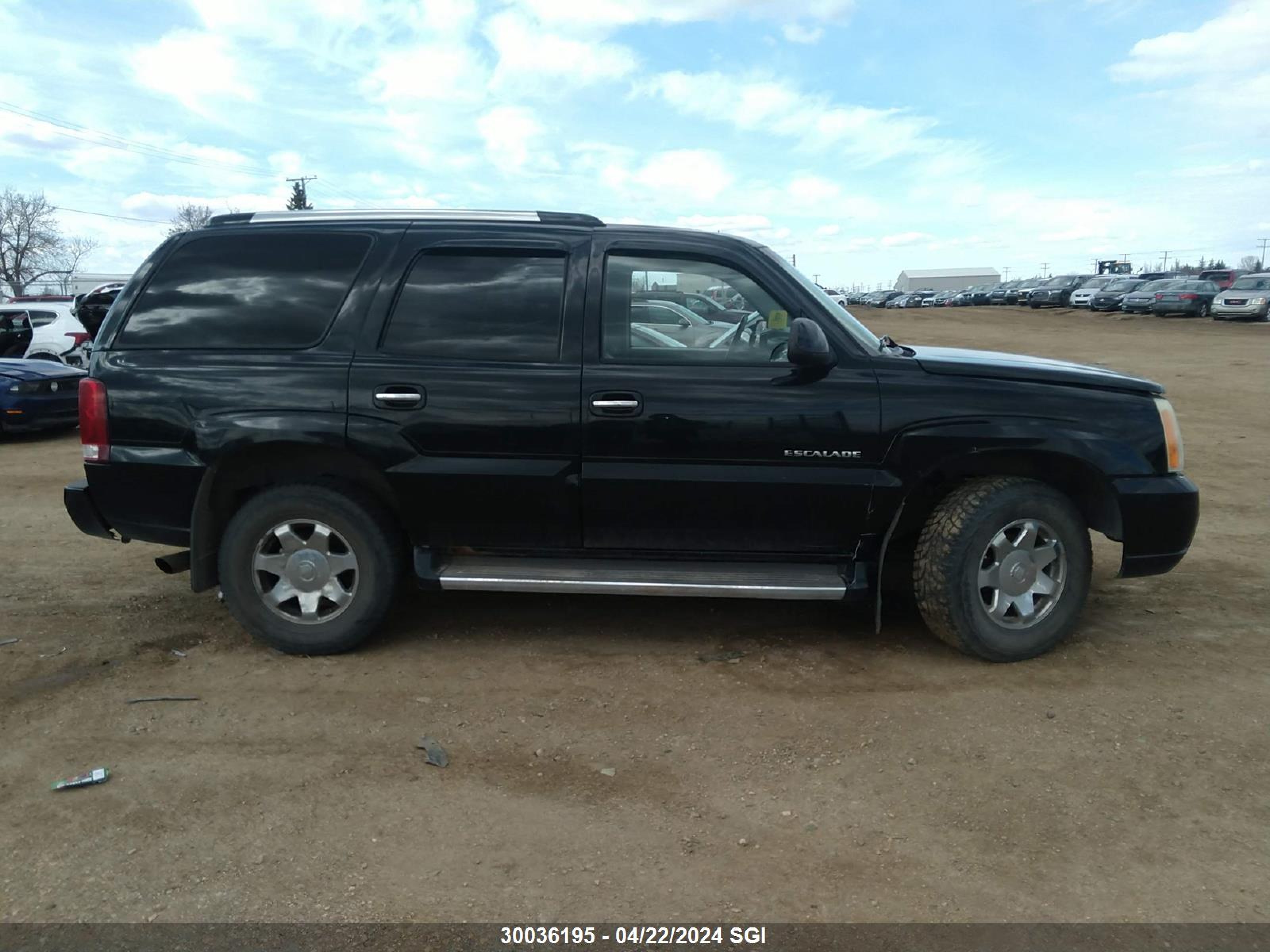 Photo 12 VIN: 1GYEK63N95R131967 - CADILLAC ESCALADE 