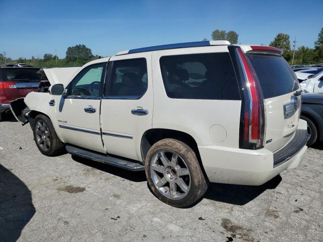 Photo 1 VIN: 1GYFK23229R292699 - CADILLAC ESCALADE L 