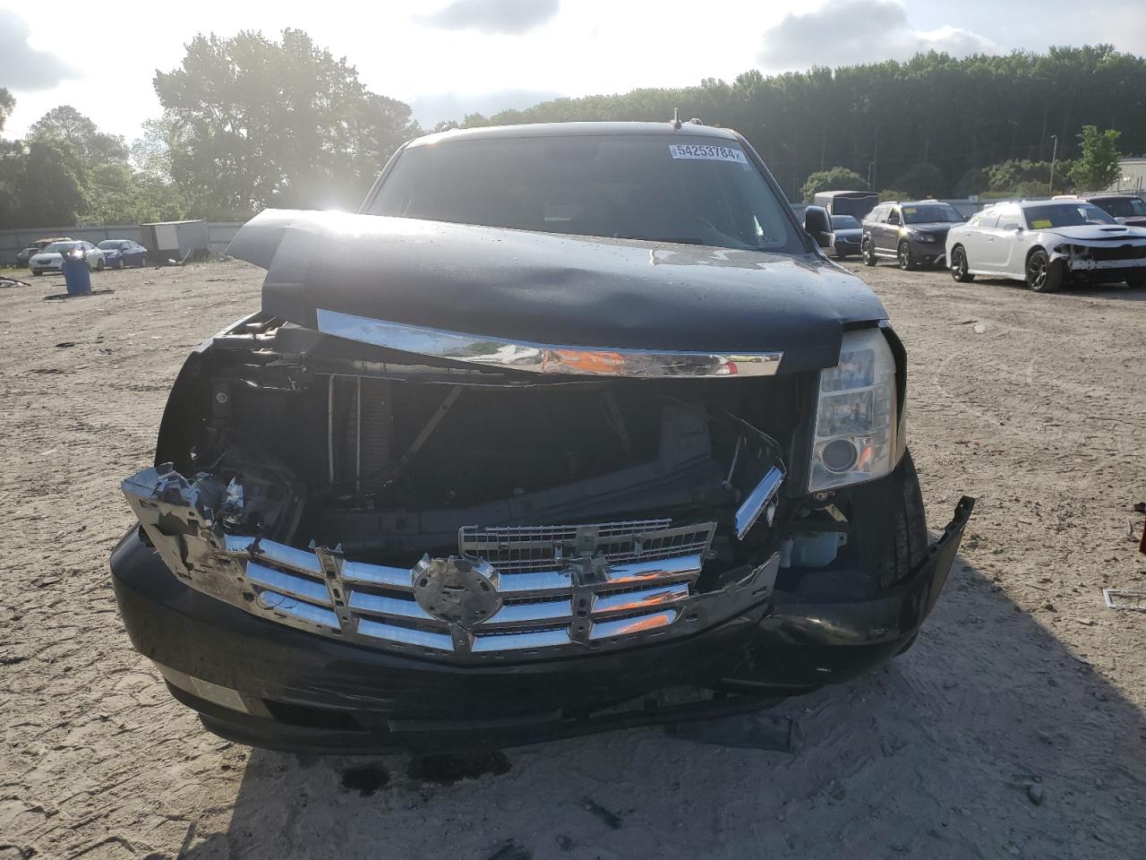 Photo 4 VIN: 1GYFK26229R221689 - CADILLAC ESCALADE 