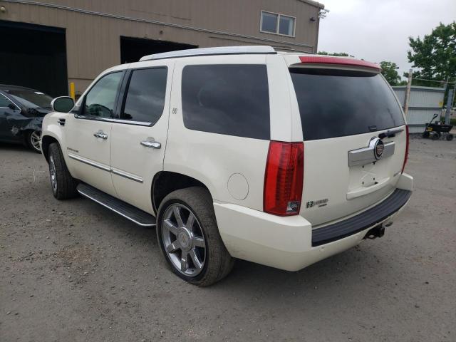 Photo 1 VIN: 1GYFK43519R213562 - CADILLAC ESCALADE 