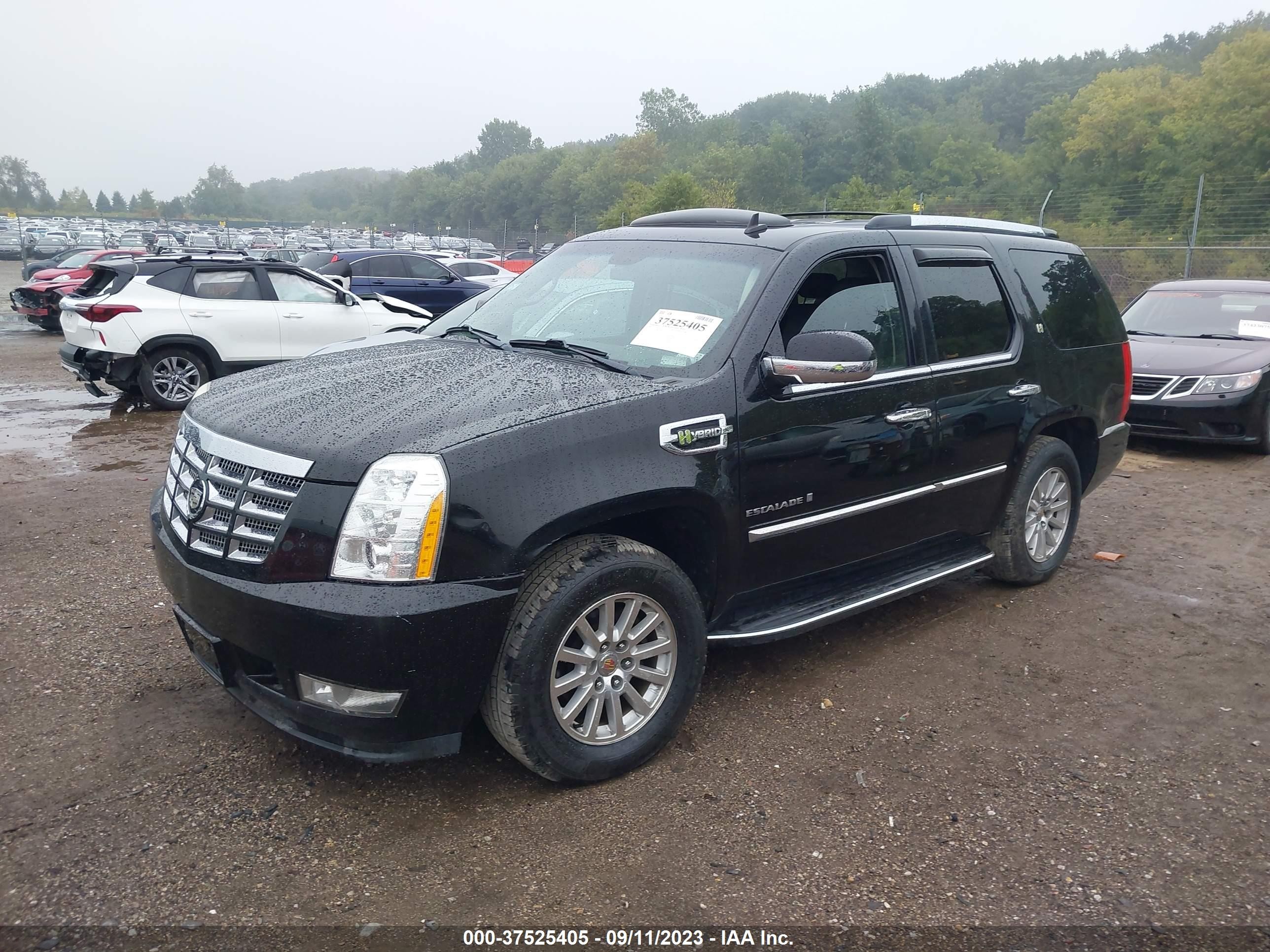 Photo 1 VIN: 1GYFK43529R193368 - CADILLAC ESCALADE 