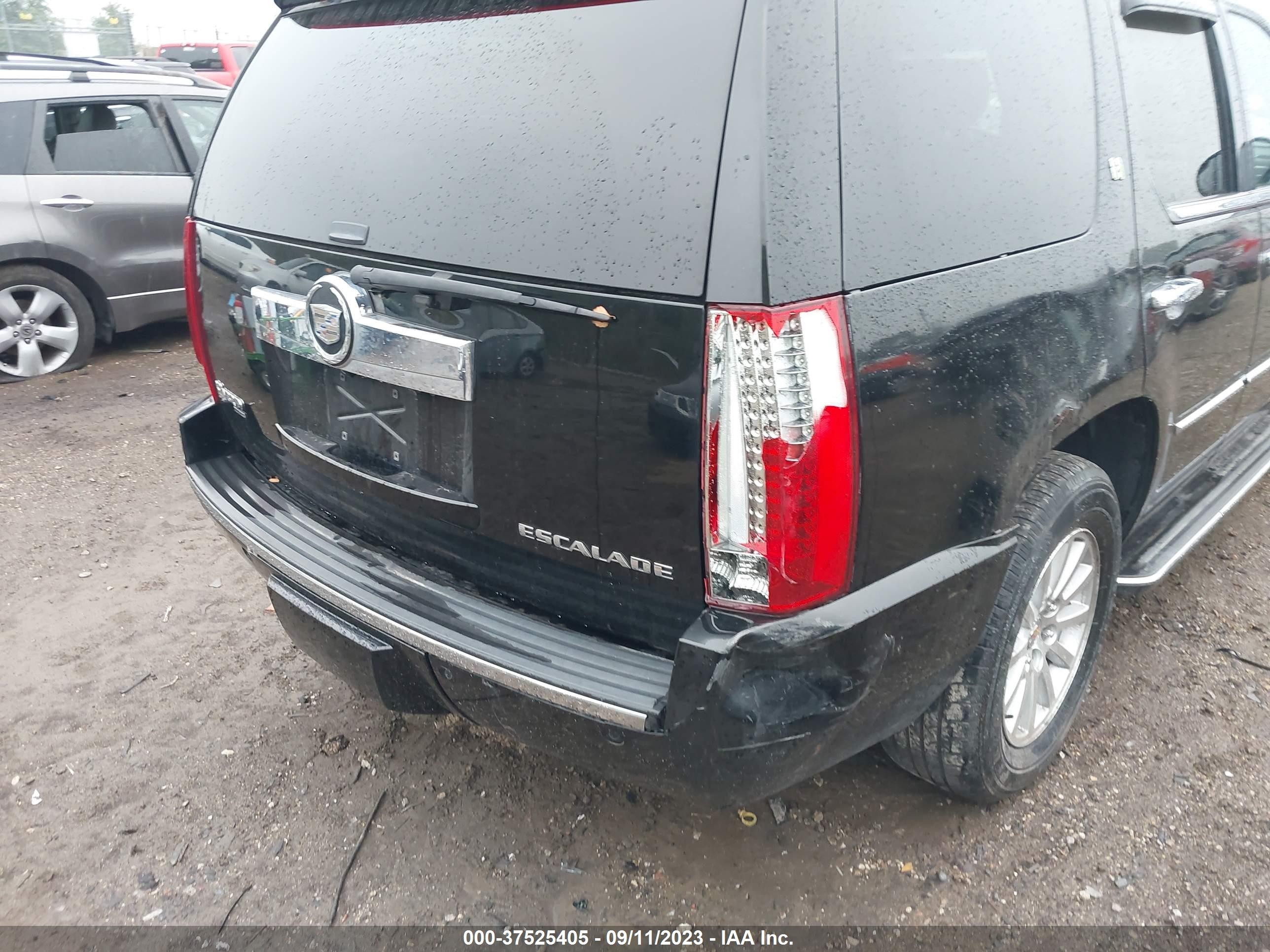 Photo 5 VIN: 1GYFK43529R193368 - CADILLAC ESCALADE 