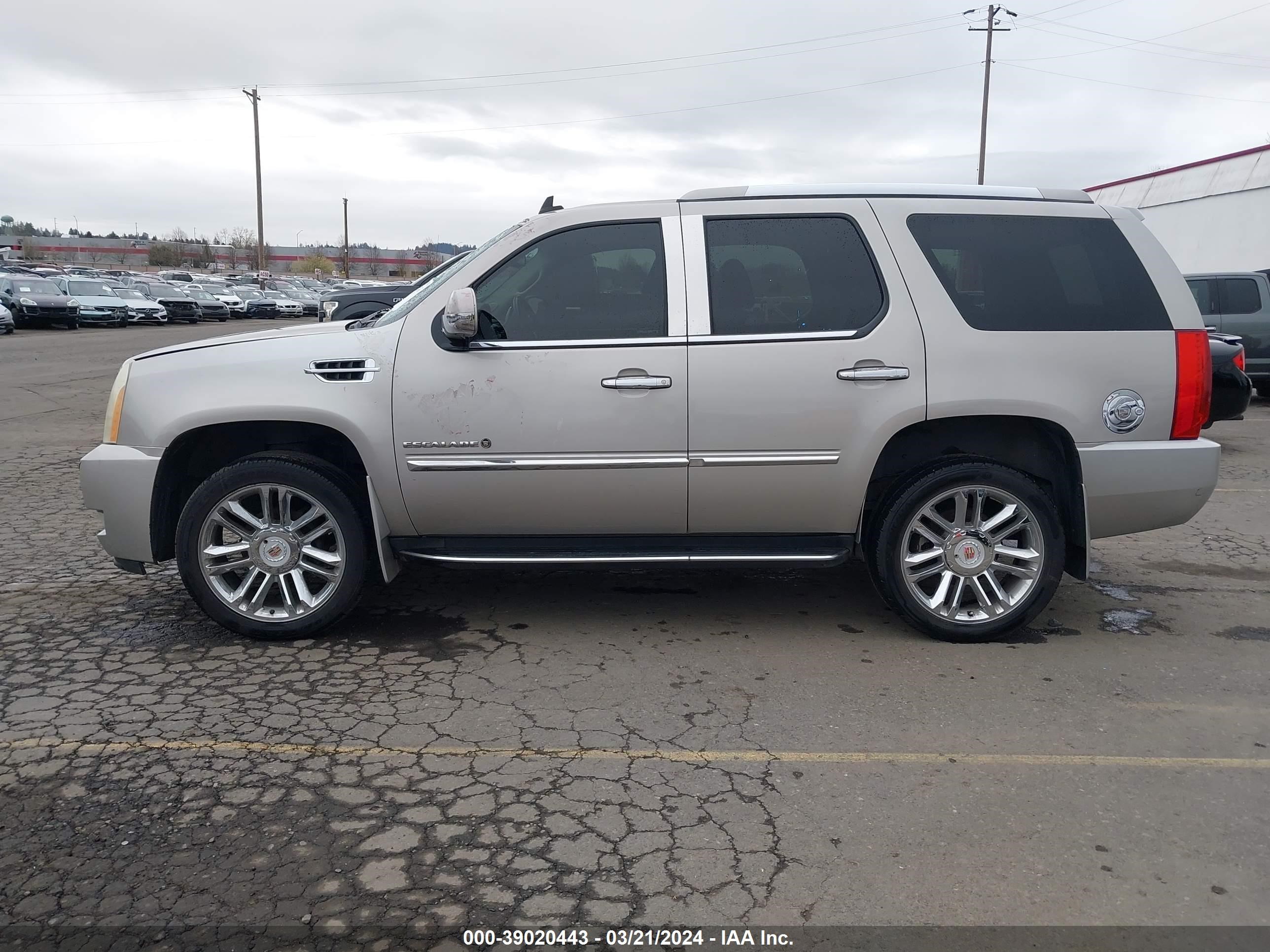 Photo 14 VIN: 1GYFK63807R170352 - CADILLAC ESCALADE 