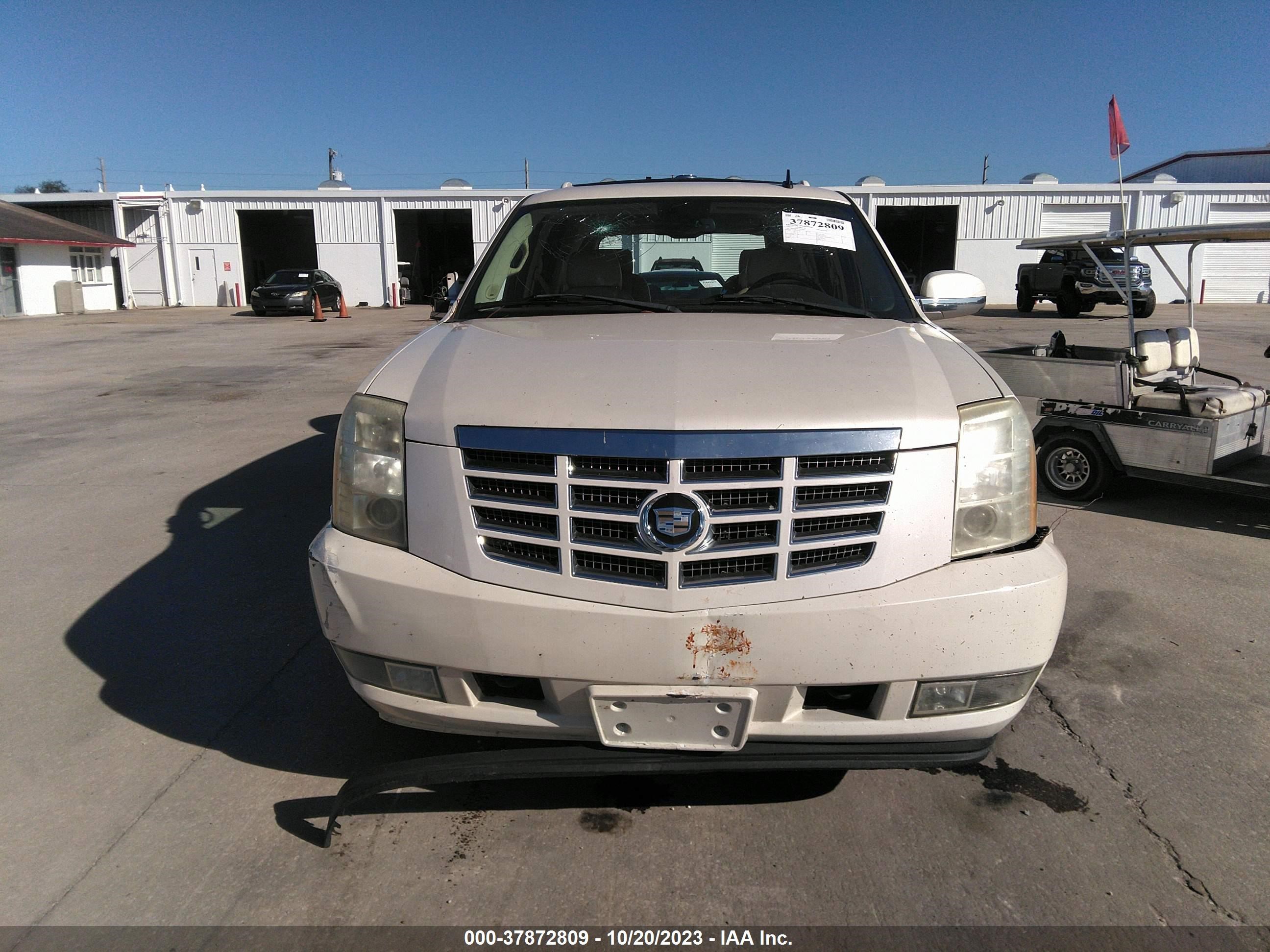 Photo 11 VIN: 1GYFK63837R134543 - CADILLAC ESCALADE 