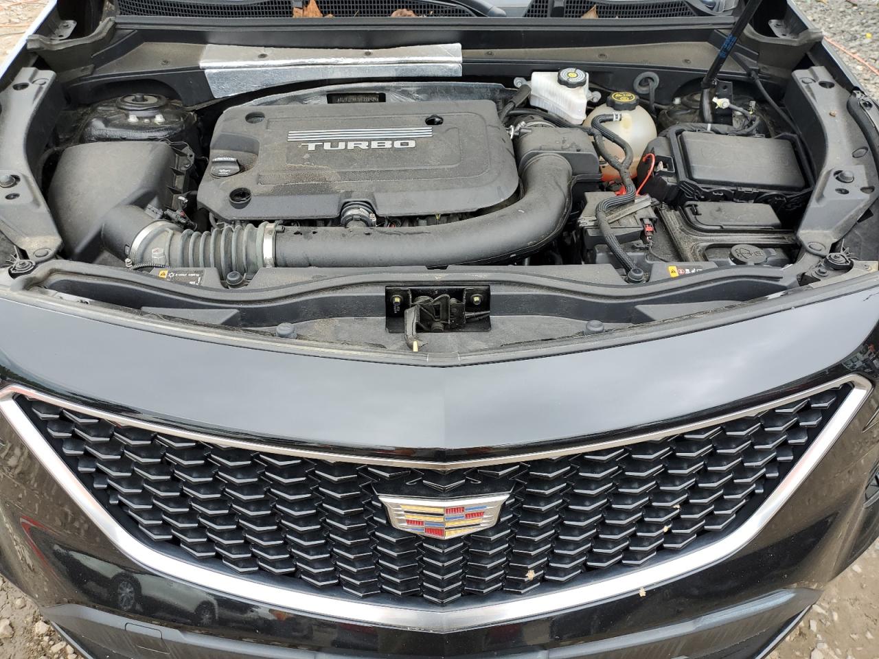 Photo 11 VIN: 1GYFZFR4XKF228929 - CADILLAC XT4 