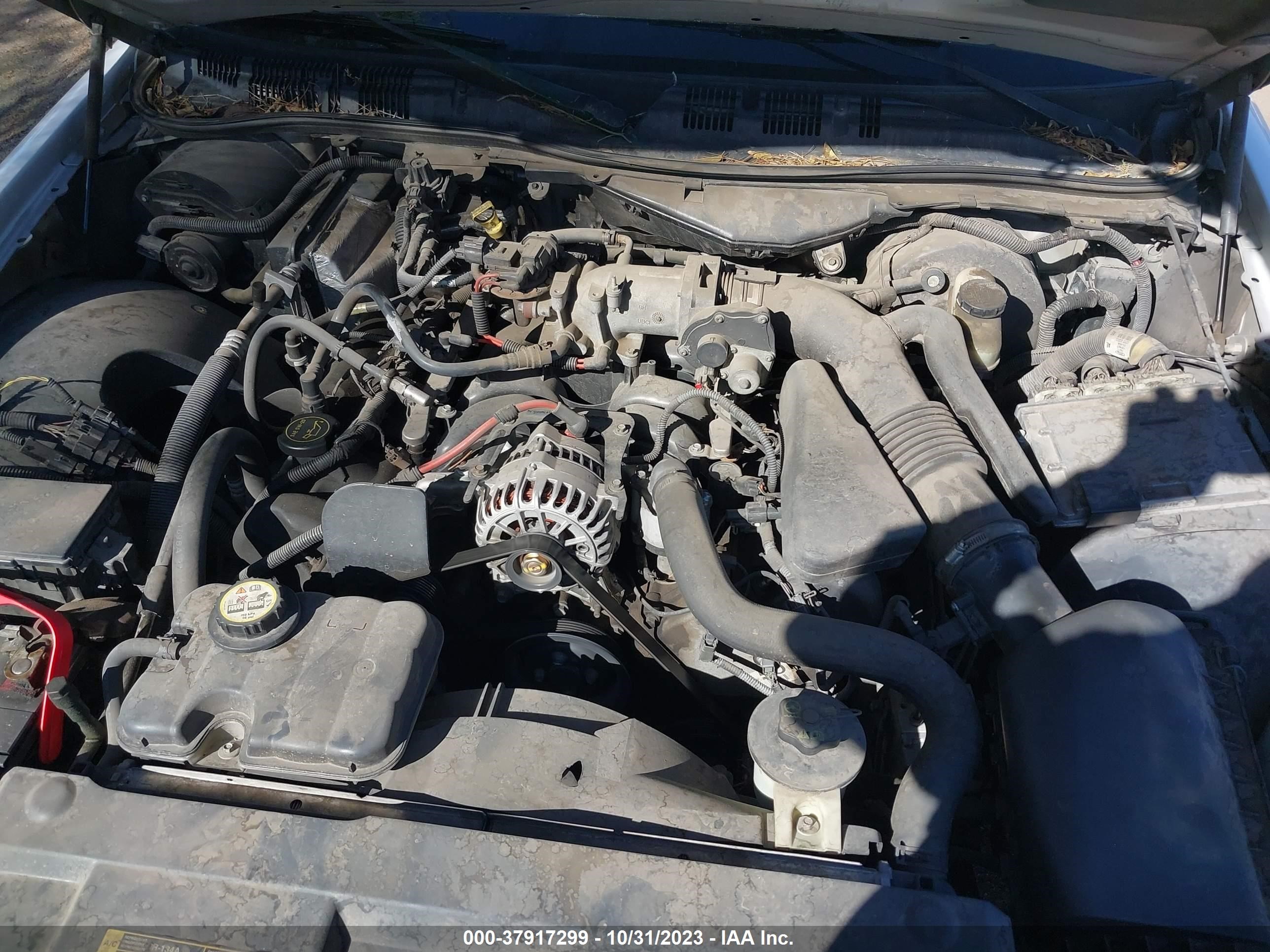 Photo 9 VIN: 1GYKNARS5JZ149547 - MERCURY GRAND MARQUIS 