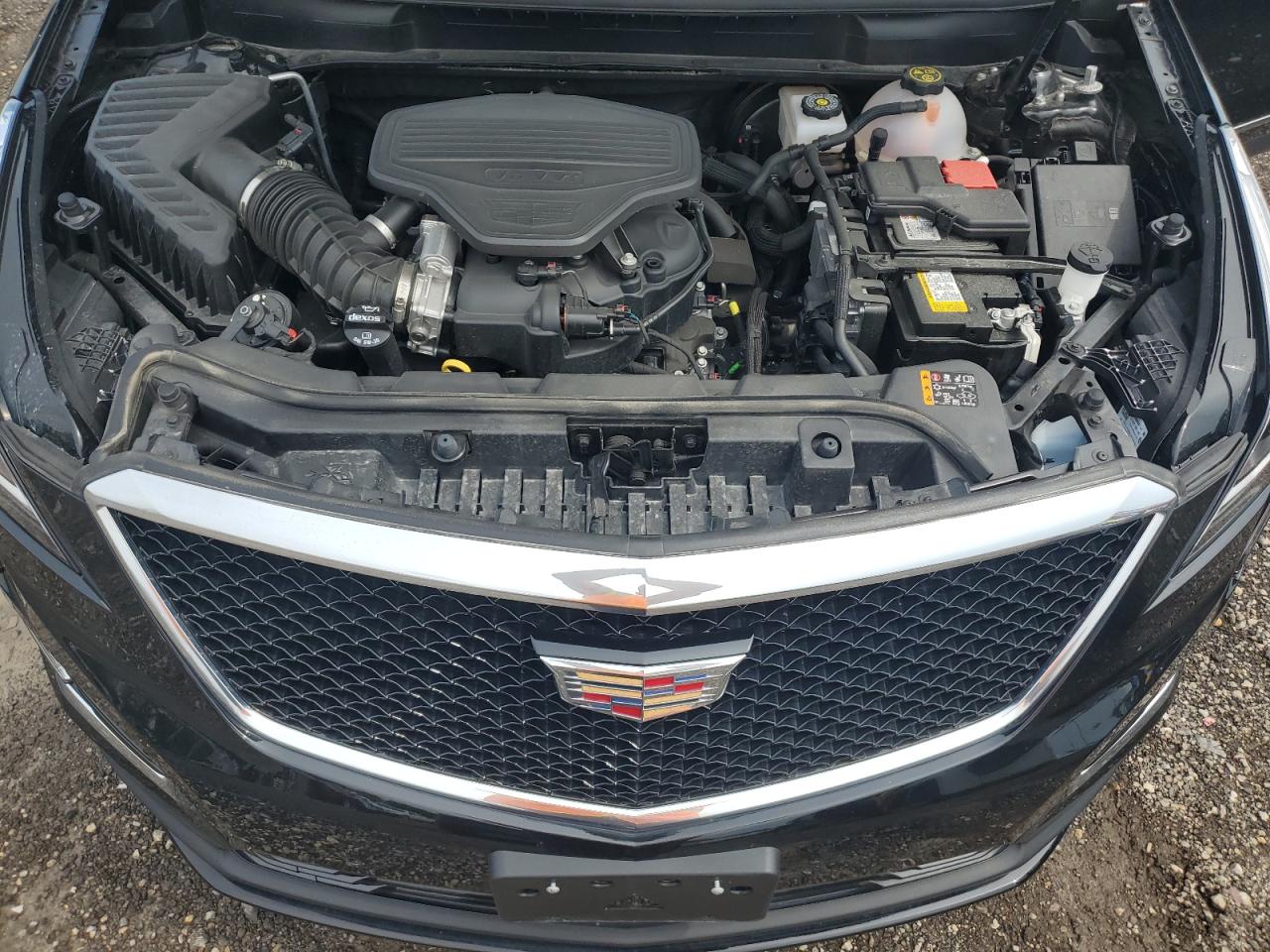 Photo 11 VIN: 1GYKNGRS5RZ706312 - CADILLAC XT5 