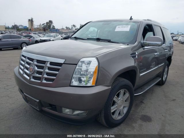 Photo 1 VIN: 1GYS3AEFXCR291040 - CADILLAC ESCALADE 