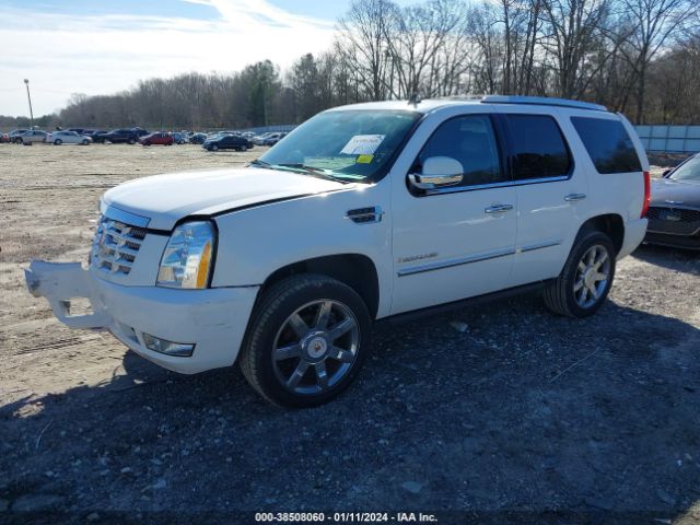 Photo 1 VIN: 1GYS3BEF4ER223308 - CADILLAC ESCALADE 