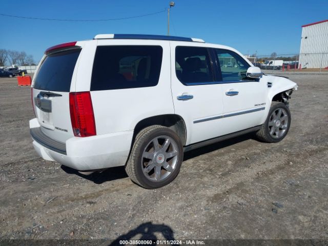 Photo 3 VIN: 1GYS3BEF4ER223308 - CADILLAC ESCALADE 