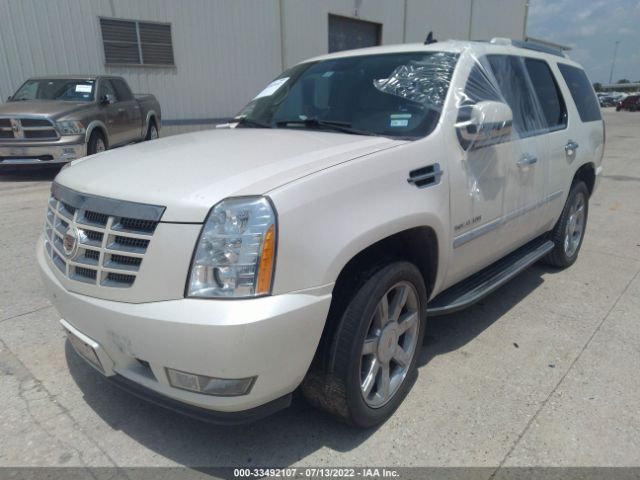 Photo 1 VIN: 1GYS3BEF4ER225981 - CADILLAC ESCALADE 