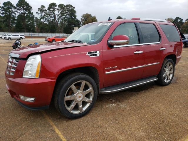 Photo 0 VIN: 1GYS3BEF9ER104153 - CADILLAC ESCALADE 