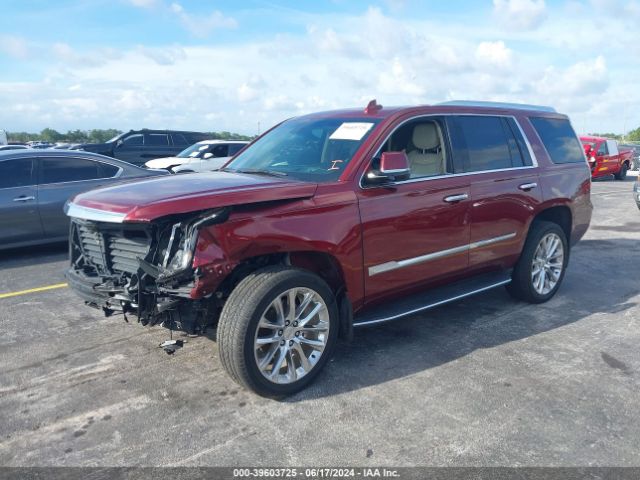 Photo 1 VIN: 1GYS3BKJ0KR294736 - CADILLAC ESCALADE L 