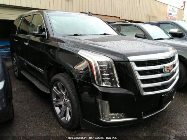 Photo 0 VIN: 1GYS3BKJ2GR324004 - CADILLAC ESCALADE 