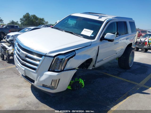 Photo 1 VIN: 1GYS3BKJ6LR124477 - CADILLAC ESCALADE 