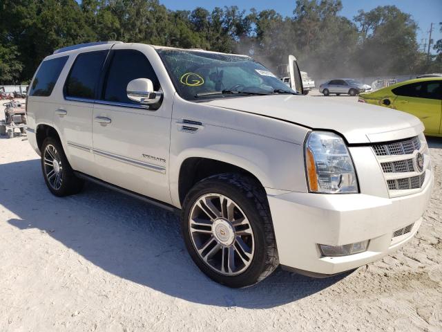 Photo 0 VIN: 1GYS3CEF1CR291729 - CADILLAC ESCALADE P 