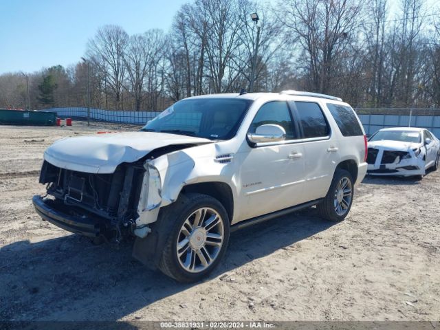 Photo 1 VIN: 1GYS3CEF1DR134915 - CADILLAC ESCALADE 