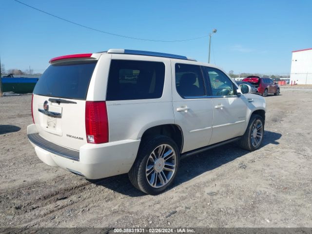 Photo 3 VIN: 1GYS3CEF1DR134915 - CADILLAC ESCALADE 