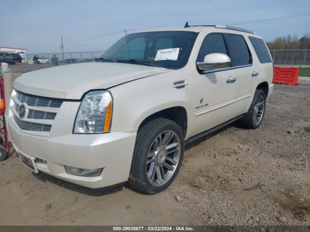 Photo 1 VIN: 1GYS3CEF3DR252559 - CADILLAC ESCALADE 