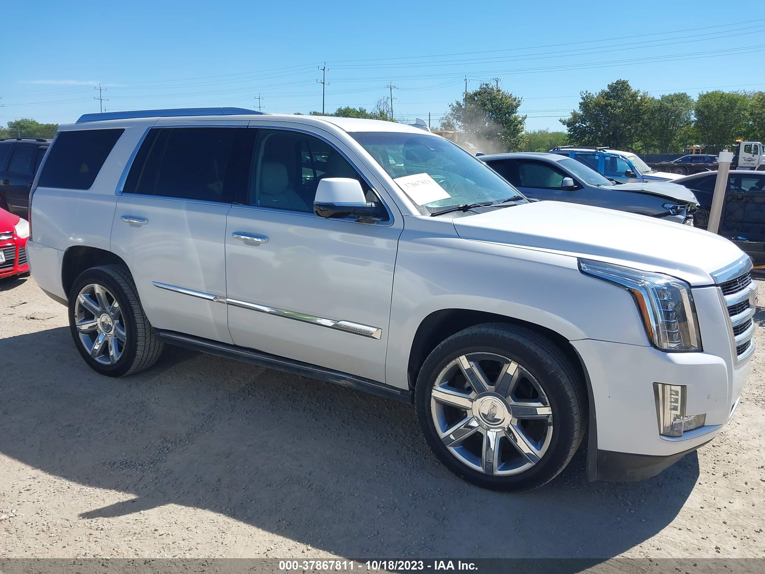 Photo 12 VIN: 1GYS3CKJ5GR178638 - CADILLAC ESCALADE 