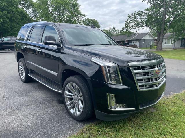 Photo 0 VIN: 1GYS3CKJ8KR257794 - CADILLAC ESCALADE 