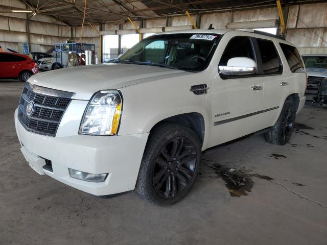 Photo 0 VIN: 1GYS3DEF1DR278096 - CADILLAC ESCALADE P 