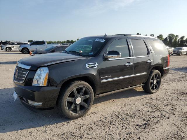 Photo 0 VIN: 1GYS3EEJ7CR173569 - CADILLAC ESCALADE H 