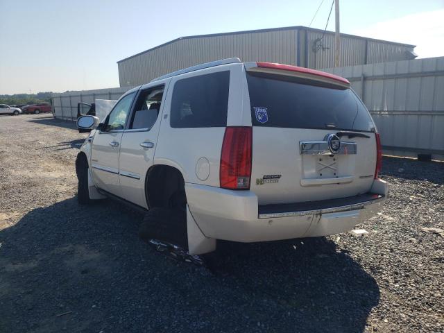 Photo 2 VIN: 1GYS3EEJ8BR205878 - CADILLAC ESCALADE H 