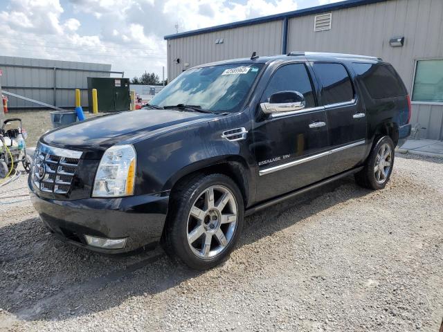 Photo 0 VIN: 1GYS3HEF6DR155336 - CADILLAC ESCALADE E 