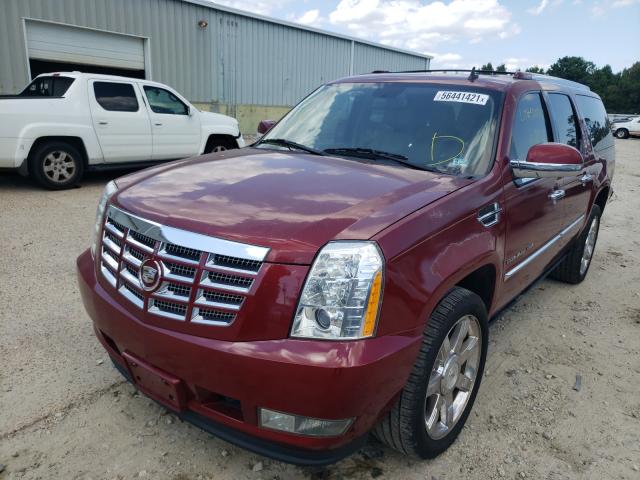 Photo 1 VIN: 1GYS3JEFXBR161371 - CADILLAC ESCALADE E 