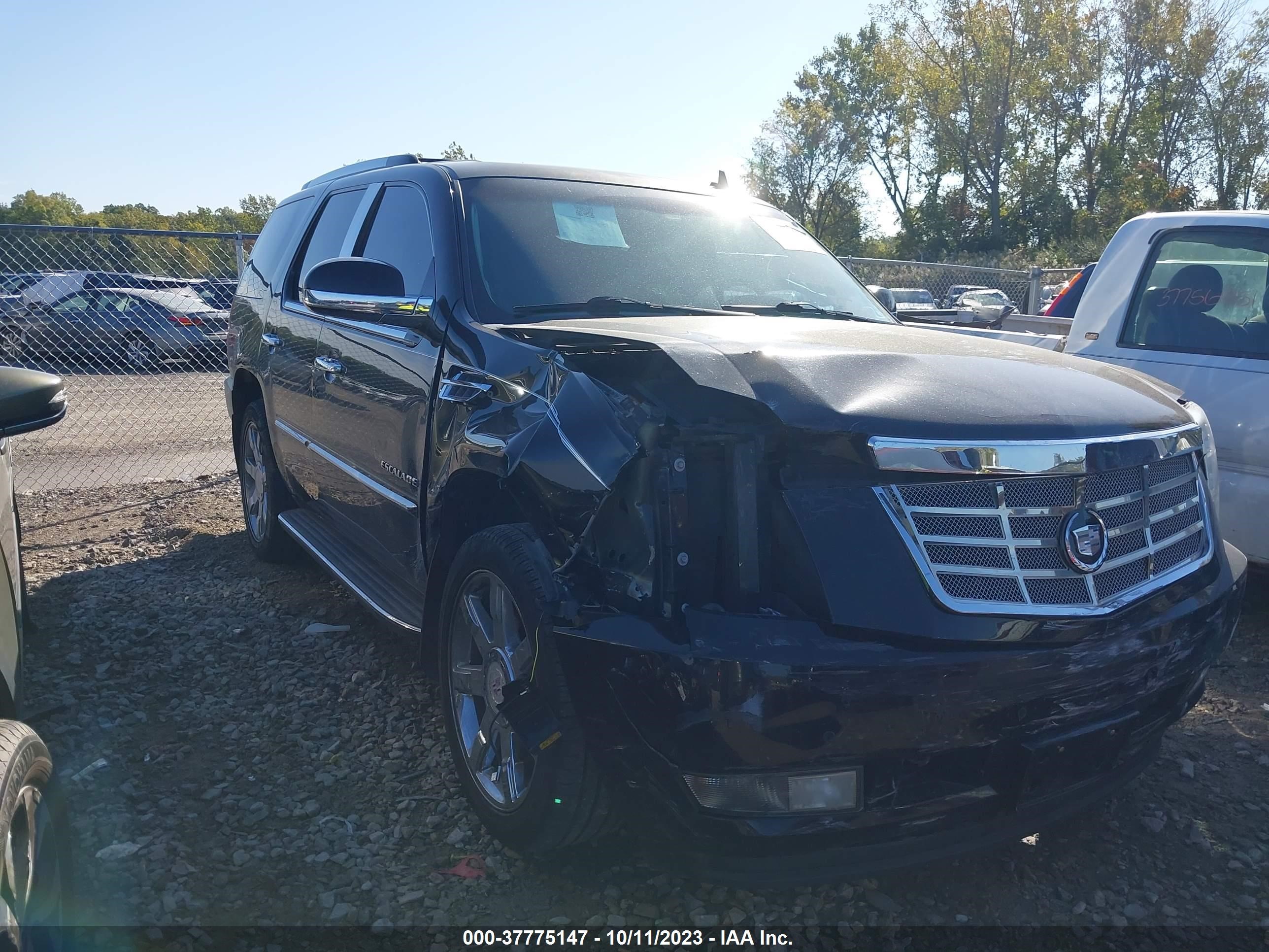 Photo 12 VIN: 1GYS4BEF0DR180677 - CADILLAC ESCALADE 