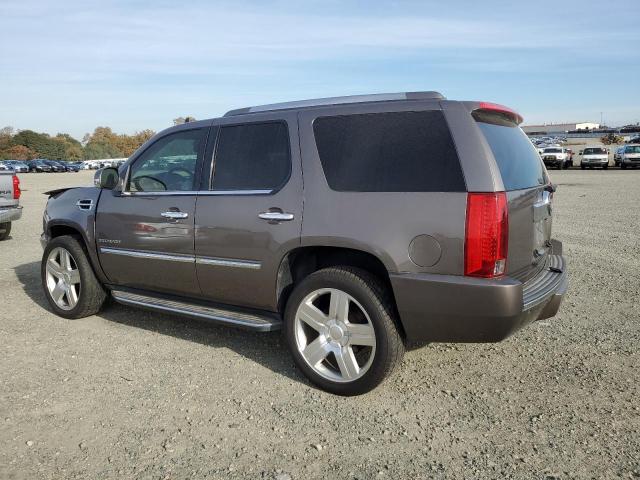 Photo 1 VIN: 1GYS4BEF0ER240734 - CADILLAC ESCALADE 