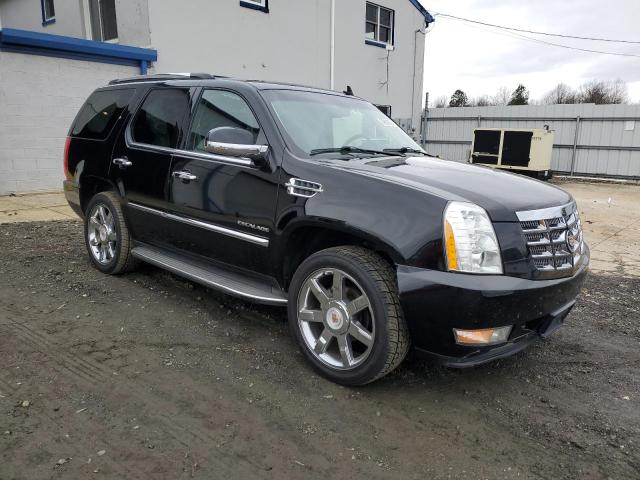 Photo 3 VIN: 1GYS4BEF1ER116407 - CADILLAC ESCALADE 