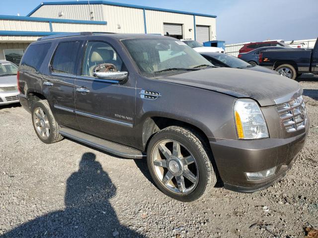 Photo 3 VIN: 1GYS4BEF9BR161736 - CADILLAC ESCALADE 