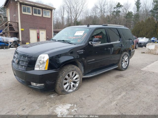 Photo 1 VIN: 1GYS4BEF9DR167880 - CADILLAC ESCALADE 