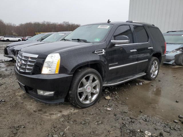 Photo 0 VIN: 1GYS4BEF9ER152667 - CADILLAC ESCALADE 