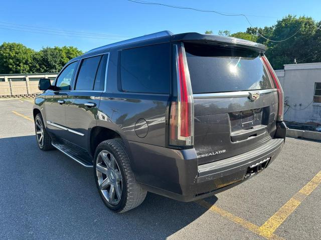 Photo 1 VIN: 1GYS4BKJ0GR113669 - CADILLAC ESCALADE 