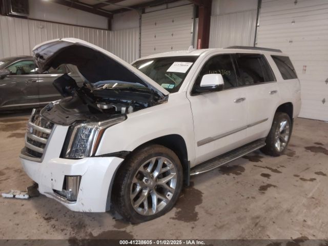 Photo 1 VIN: 1GYS4BKJ3GR232302 - CADILLAC ESCALADE 