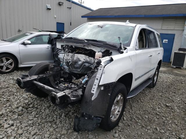 Photo 1 VIN: 1GYS4BKJ8LR274782 - CADILLAC ESCALADE L 