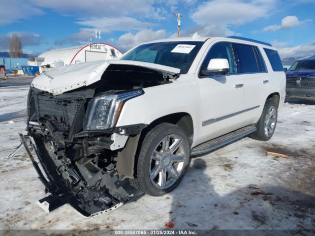 Photo 1 VIN: 1GYS4BKJXKR374137 - CADILLAC ESCALADE 