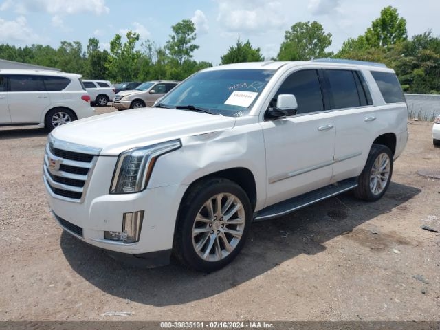 Photo 1 VIN: 1GYS4BKJXKR379905 - CADILLAC ESCALADE 