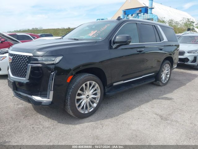 Photo 1 VIN: 1GYS4BKL3PR124229 - CADILLAC ESCALADE 