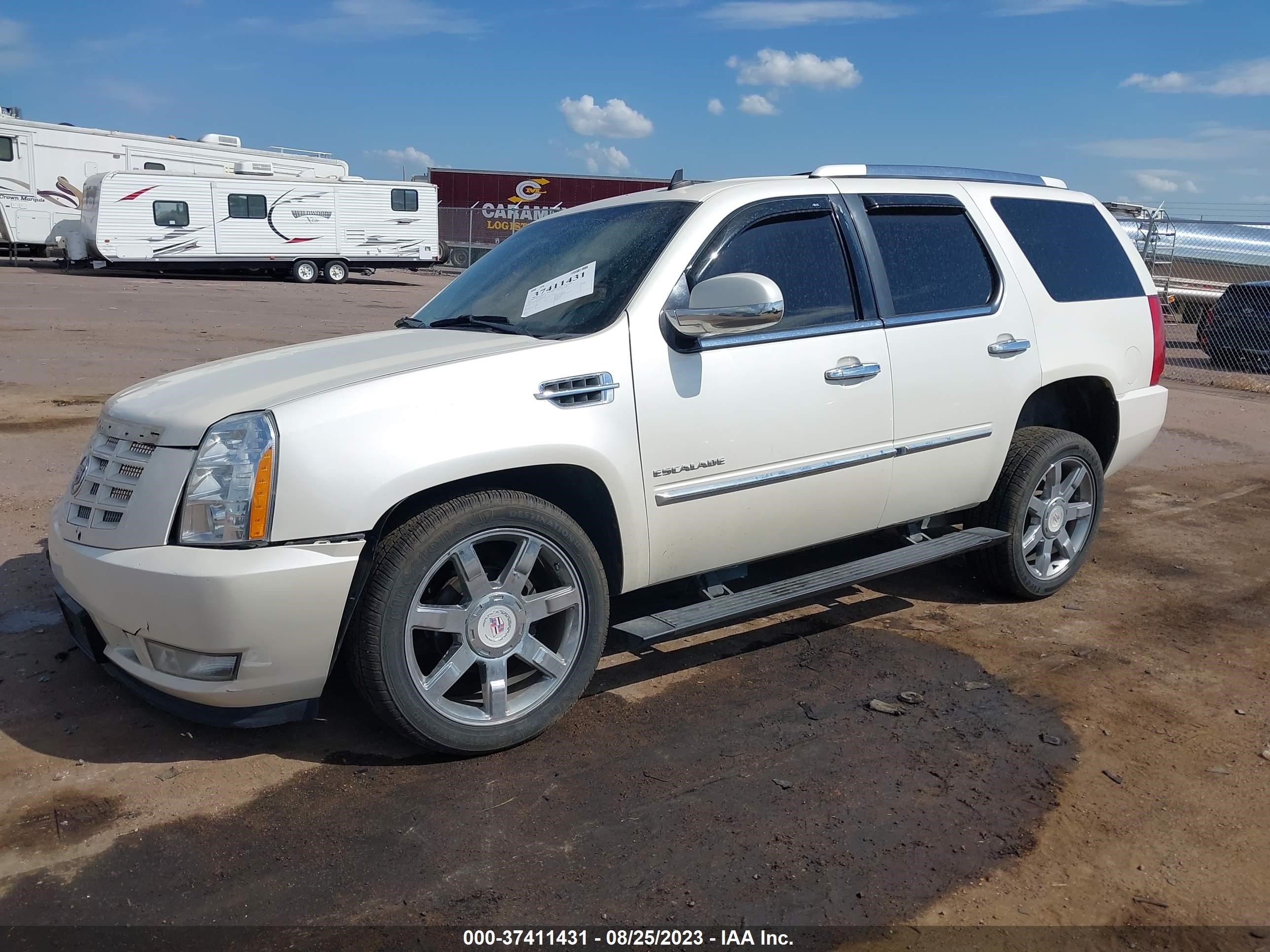 Photo 1 VIN: 1GYS4CEF0BR368750 - CADILLAC ESCALADE 