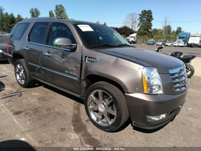 Photo 0 VIN: 1GYS4CEF1BR273906 - CADILLAC ESCALADE 