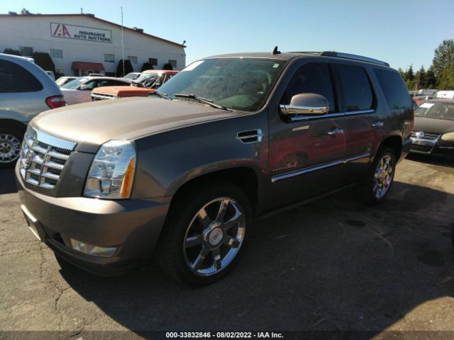 Photo 1 VIN: 1GYS4CEF1BR273906 - CADILLAC ESCALADE 