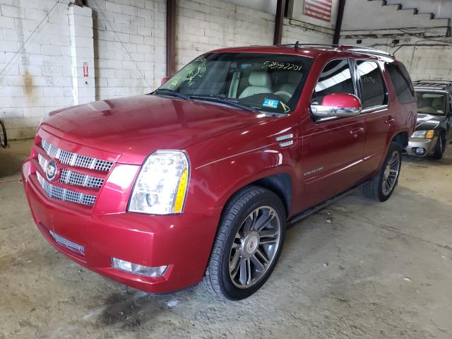 Photo 1 VIN: 1GYS4CEF1DR129081 - CADILLAC ESCALADE P 