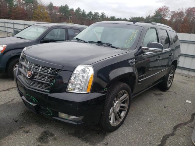 Photo 1 VIN: 1GYS4CEF1DR344959 - CADILLAC ESCALADE P 