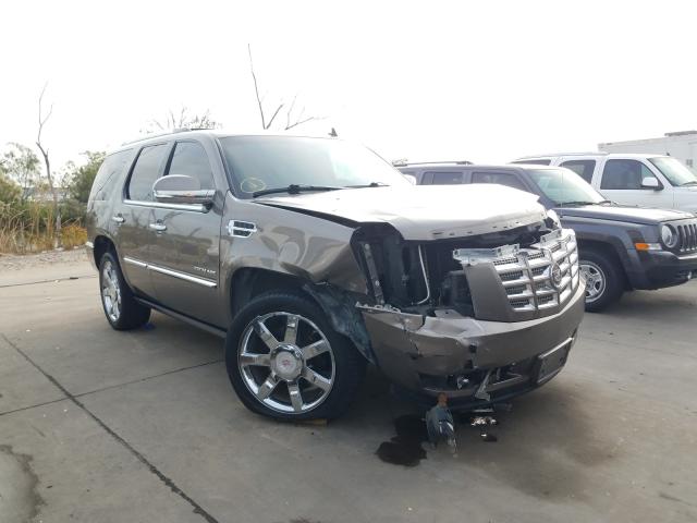 Photo 0 VIN: 1GYS4CEF2BR317721 - CADILLAC ESCALADE P 